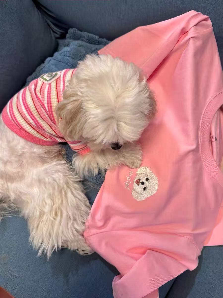 Customization Pet T-shirts