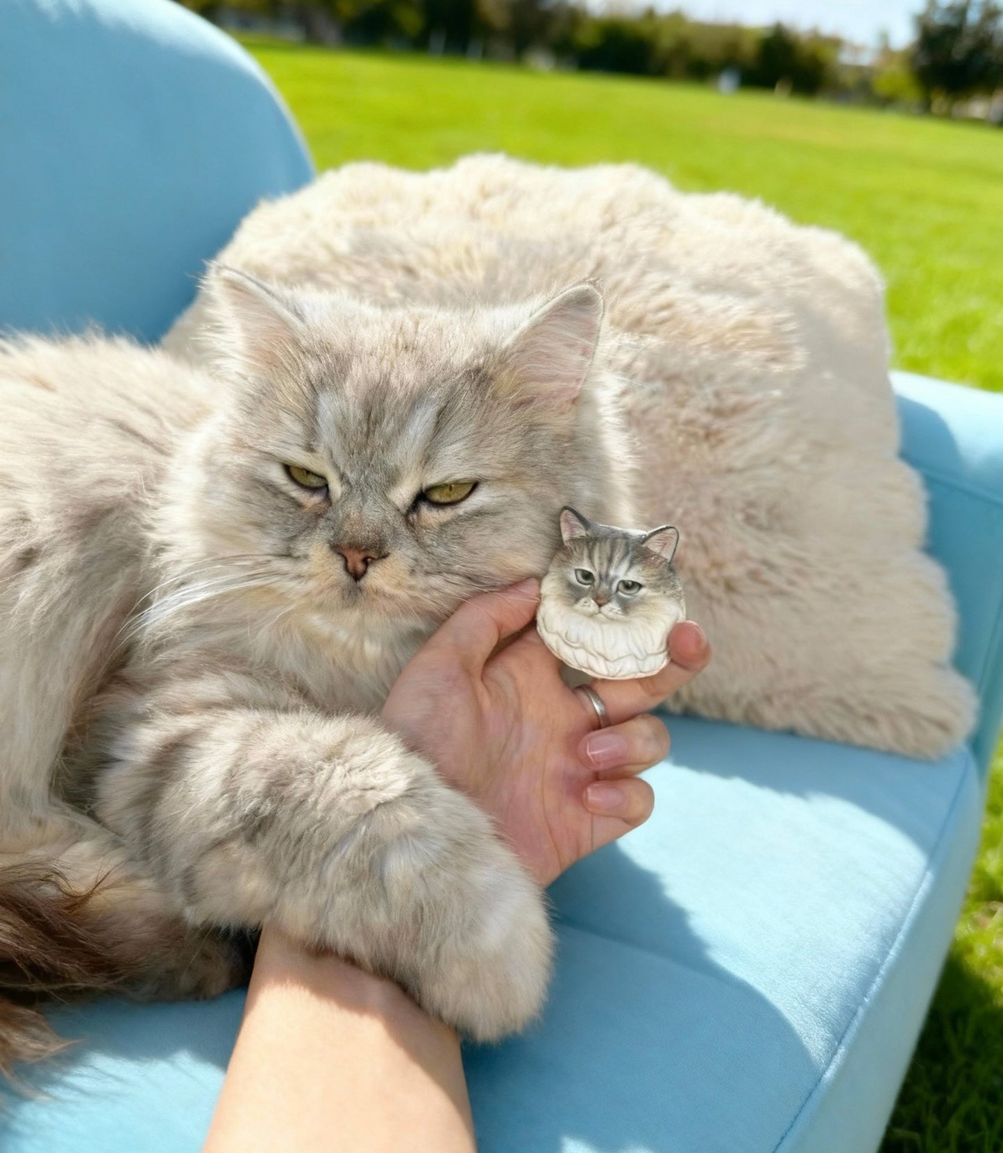 Customized pet head model