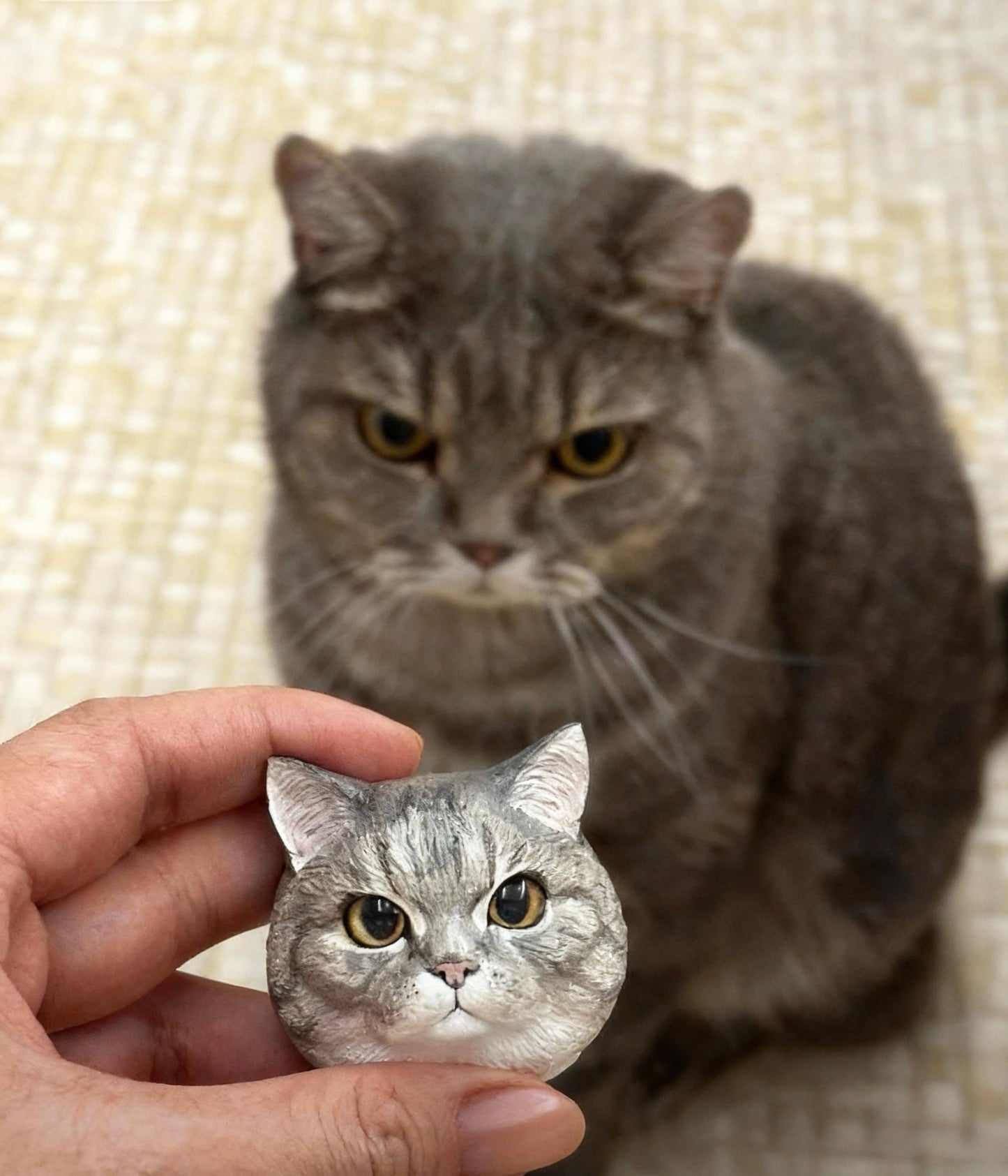 Customized pet head model