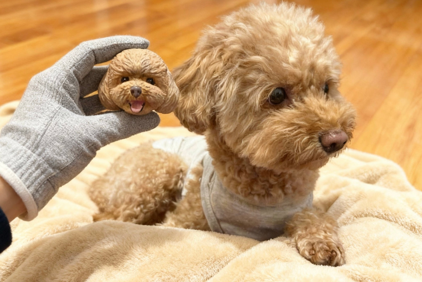 Customized pet head model