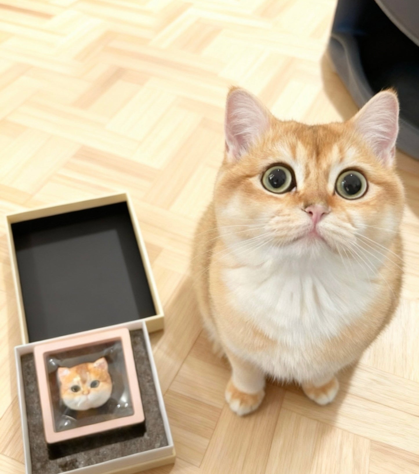 Customized pet head model